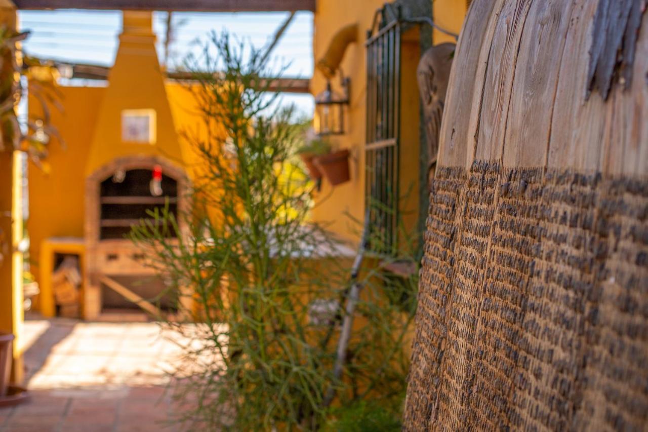 Hanami Finca Cumbres Borrascosas إِستيبونا المظهر الخارجي الصورة